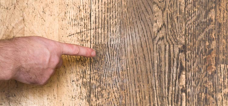 Wood Door Scratch Repair in West Sacramento